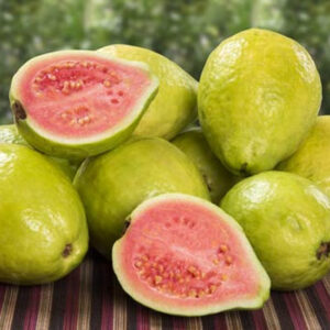 Guava Indian