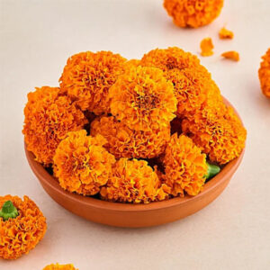 Marigold Orange
