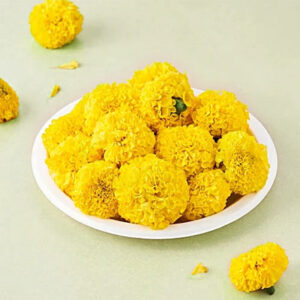 Marigold Yellow
